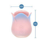 Blush Collection - Kissing Rose - Pink - Image 3