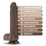 Dr. Skin Silicone - Dr. Murphy - 8 Inch Thrusting Dildo - Chocolate - Image 4