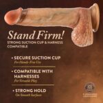 Renaissance - Raphael - 9.5 Inch Sliding Foreskin Dildo With Squeezable Balls - Tan - Image 9