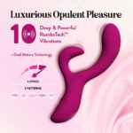 Blush Quinn Rabbit Vibrator Burgundy - Image 4