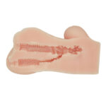 Hannah the Realistic Vagina Masturbator - Light - Image 6