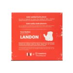 Raw Realistic Torso Landon - Image 2
