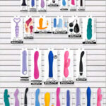 Evolved Best Sellers Bundle