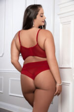Cinnamon Red 2pc Satin Bra and High Waist Panty - Queen Size - Image 2