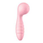 Sorbet Pinky - Image 2