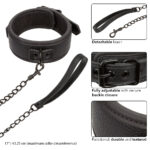 Nocturnal Collection Collar and Leash - Black - Image 2