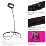 Euphoria Collection Chain Halter-collar and Leash - Black - Image 4