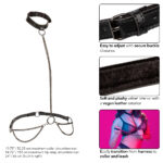 Euphoria Collection Plus Size Chain Halter-collar and Leash - Black - Image 3