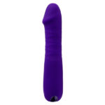 Ambition - Purple
