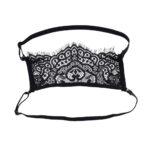 Veiled Vision Lace Blindfold