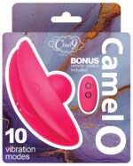 Cloud 9 Camel Toe Shaped Vibrator With Remote - Pink