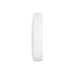 Creamsicle - Image 2