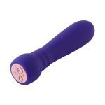 Booster Bullet - Purple