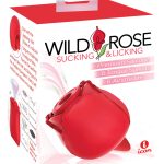 Wild Rose Sucking and Licking - Red