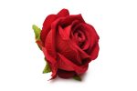 The Rose Lovers Gift Box Bloomgasm - Red - Image 4