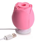 The Rose Lovers Gift Box Bloomgasm - Pink - Image 7