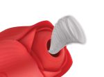 Bloomgasm Romping Rose Suction and Thrusting Vibrator - Red - Image 7