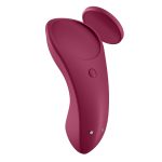 Sexy Secret - Panty Vibrator - Image 4