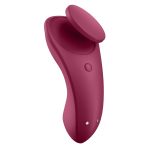 Sexy Secret - Panty Vibrator - Image 5