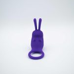 The Cock Hopper Cock Ring and Bullet Vibrator - Image 5