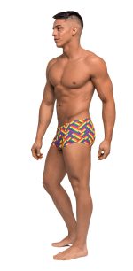 Pride Fest - Mini Short - Medium - Print - Image 3