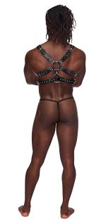 Gemini Leather Harness - One Size - Black - Image 2