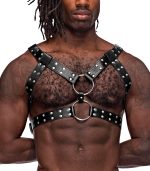 Gemini Leather Harness - One Size - Black - Image 4