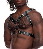 Gemini Leather Harness - One Size - Black - Image 6