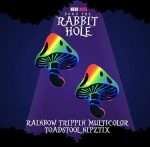 Rainbow Trippin Psychedelic Toadstool Nipple Cover Pasties - Image 2