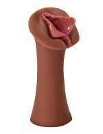 Extreme Wet Pussies - Luscious Lips - Brown - Image 2
