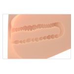 Pdx Plus Ez Bang Torso - Light - Image 4