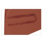 Pdx Plus Ez Bang Torso - Brown - Image 4