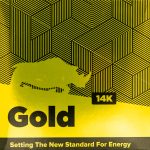 Rhino 14k Gold Capsules Singles - 24ct Display