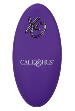 Lock-N-Play Remote Suction Panty Teaser - Purple - Image 9