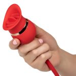 French Kiss Casanova - Image 8