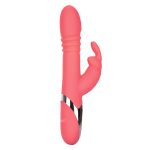Enchanted Exciter - Image 5