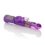 Shanes World Jack Rabbit G - Purple - Image 4