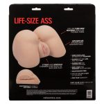 Stroke It Life-Size Ass - Ivory - Image 3