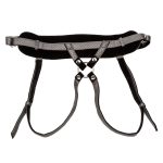 Her Royal Harness the Regal Princess - Pewter - Image 5