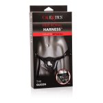 Her Royal Harness the Queen - Boxed - Image 5