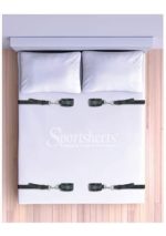 Under the Bed Restraint System - Image 3