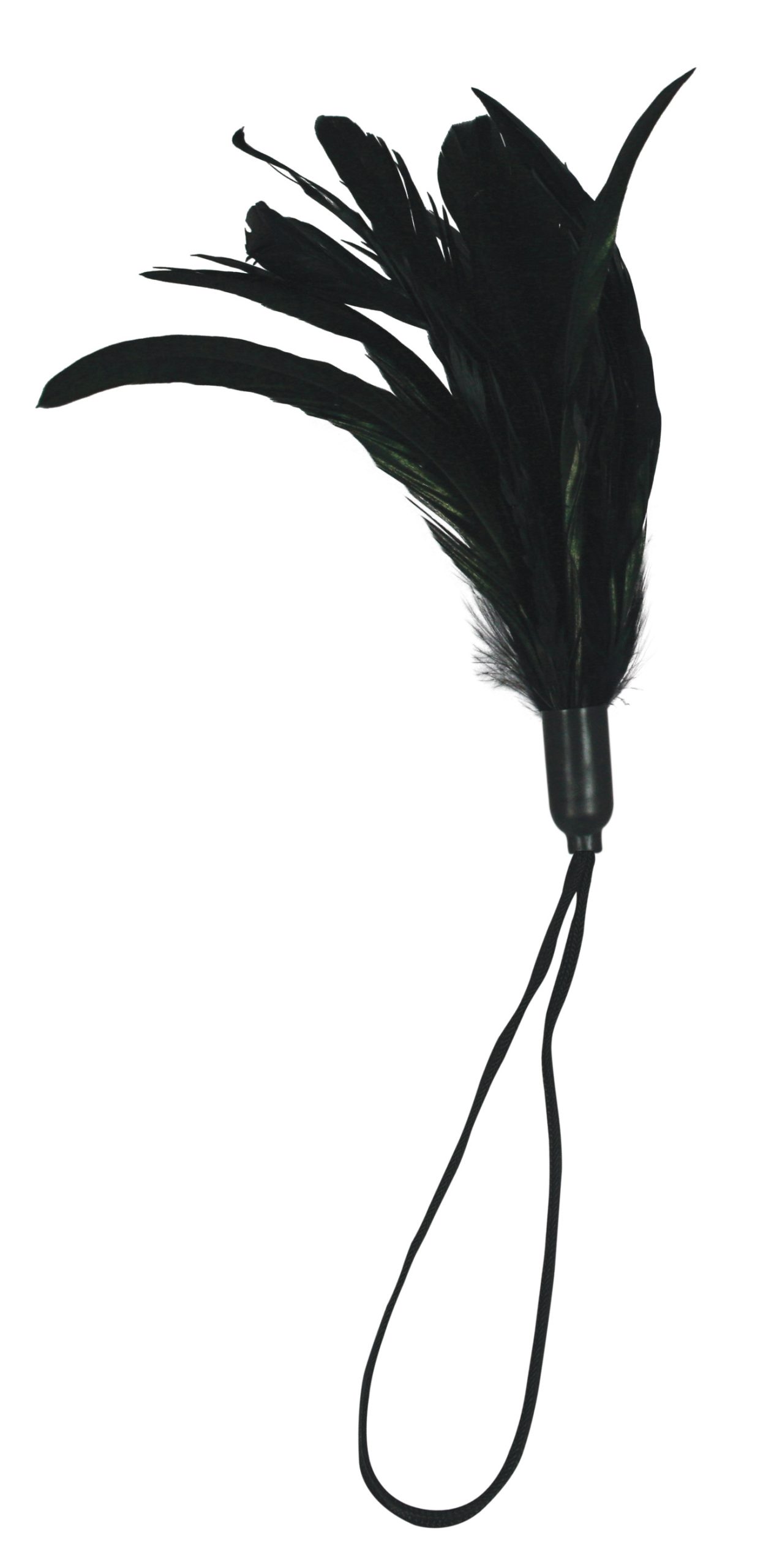 HOSS261-01.jpg Pleasure Feather - Black - Image 1