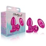 Vibrating Pink Metal Remote Plug - Medium - Image 3