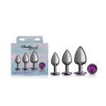 Purple Round Gem Anal Trainer Kit - Gunmetal - Image 2