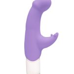 Joy Mini Vibe - Orgasmin Orchid
