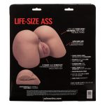 Stroke It Life-Size Ass - Brown - Image 8